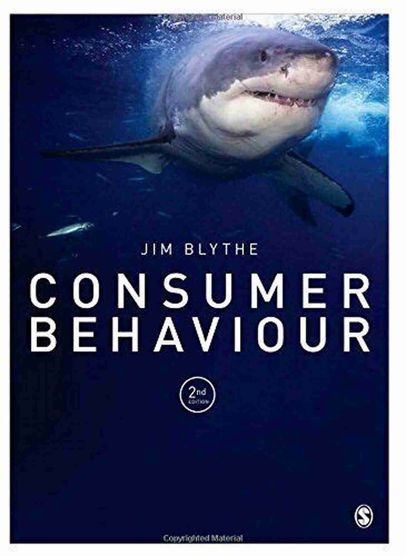 Jim Blythe Leading Expert On Consumer Behaviour Consumer Behaviour Jim Blythe