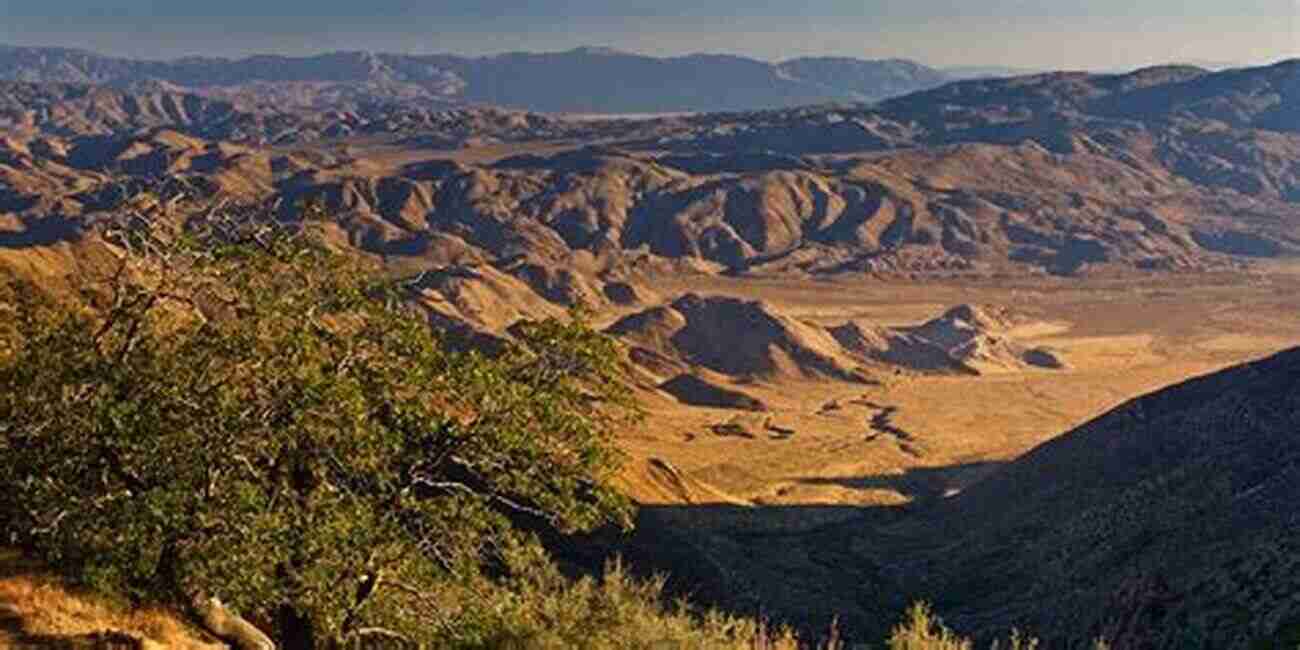 Laguna Mountain Day Section Hike Day Section Hikes Pacific Crest Trail: Southern California