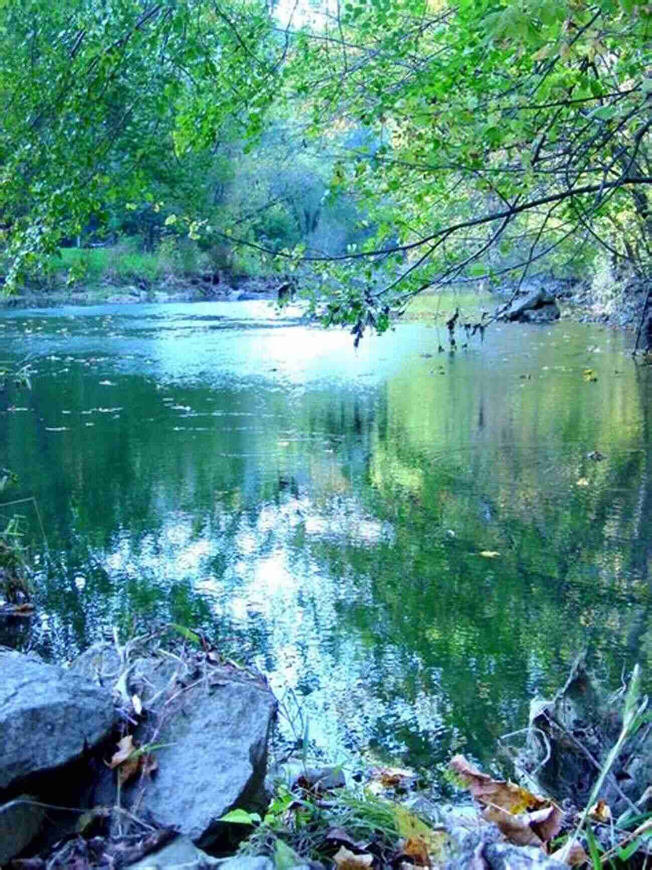 Lake Erie A Fisherman's Paradise Fishing Ohio: An Angler S Guide To Over 200 Fishing Spots In The Buckeye State