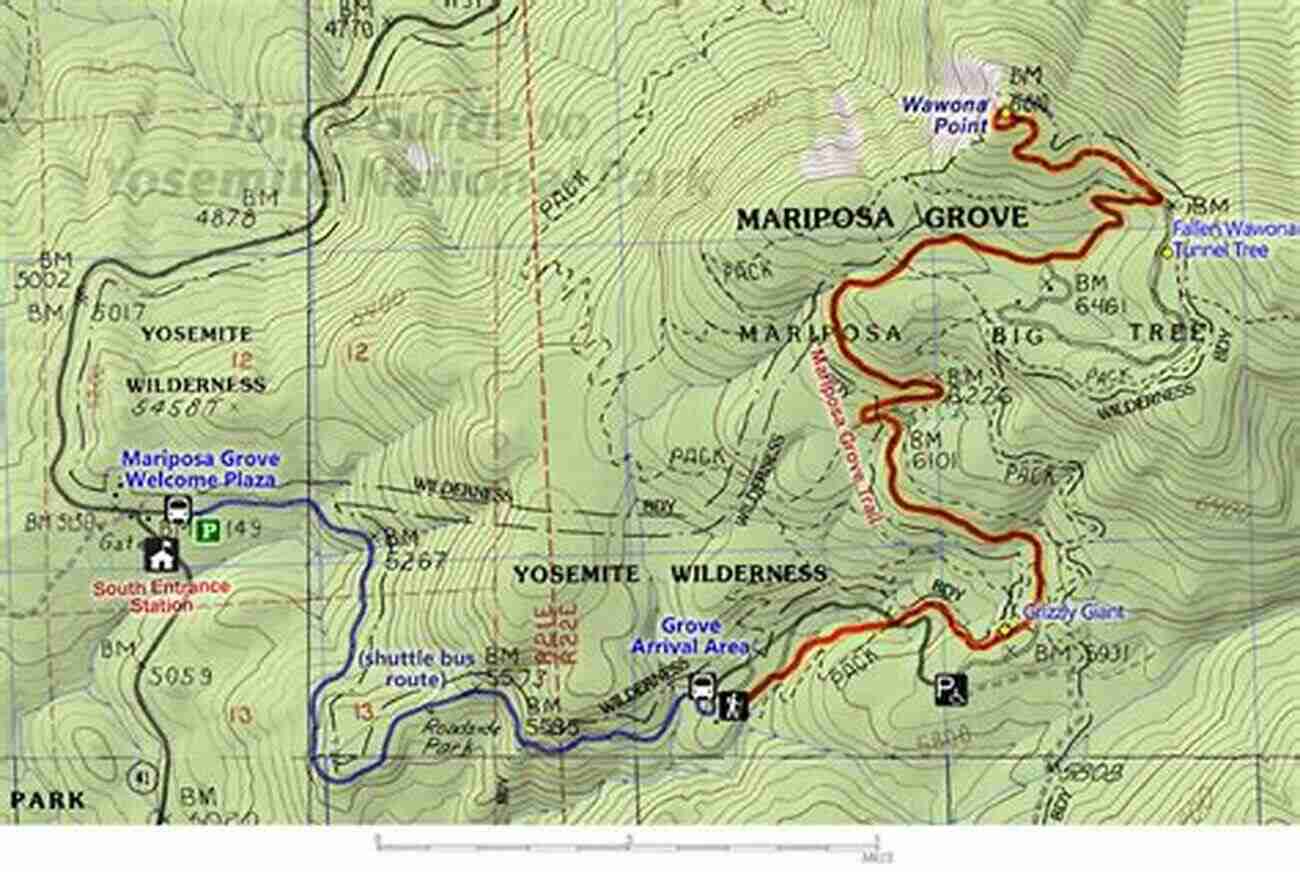 Mariposa Grove Yosemite National Park And Vicinity