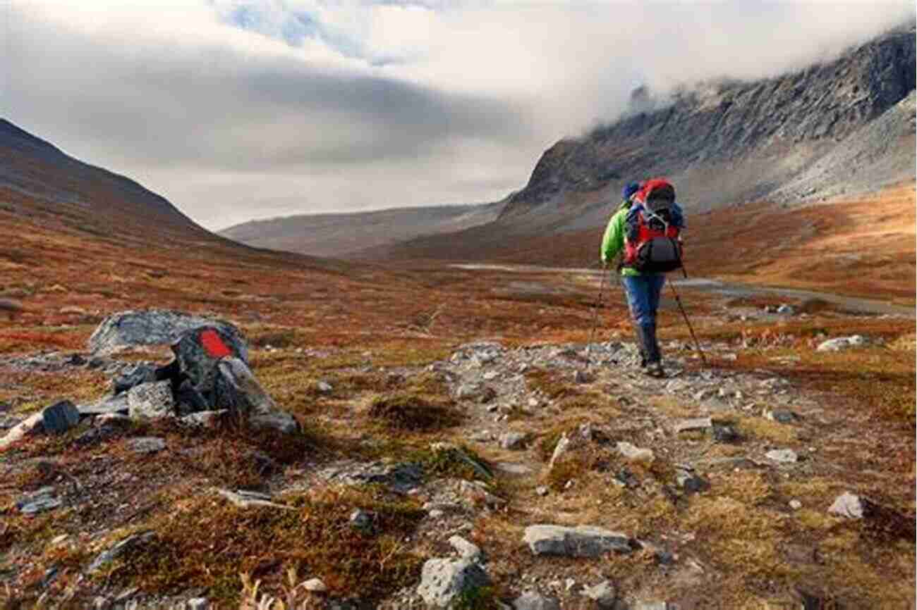 Minimal Eye Contact In Sweden A Swedish Hiker Enjoying Nature The Adventures Of An Introvert: Ten Countries Four Continents Minimal Eye Contact