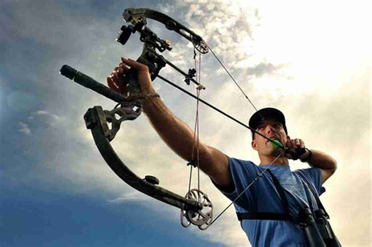 Modern Archery Equipment Modern Archery Is : What Is Archery Like