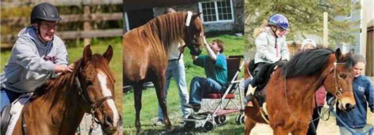 Morgan Horse In A Therapeutic Session Meet The Morgans: The Stars Of The Morgan Horse