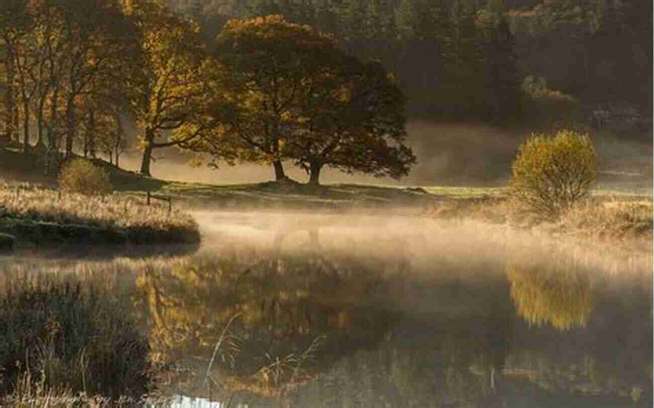 Painting Of A Serene River With Cool Waters Flowing Surrounded By Nature Where Cool Waters Flow Paul Carroll