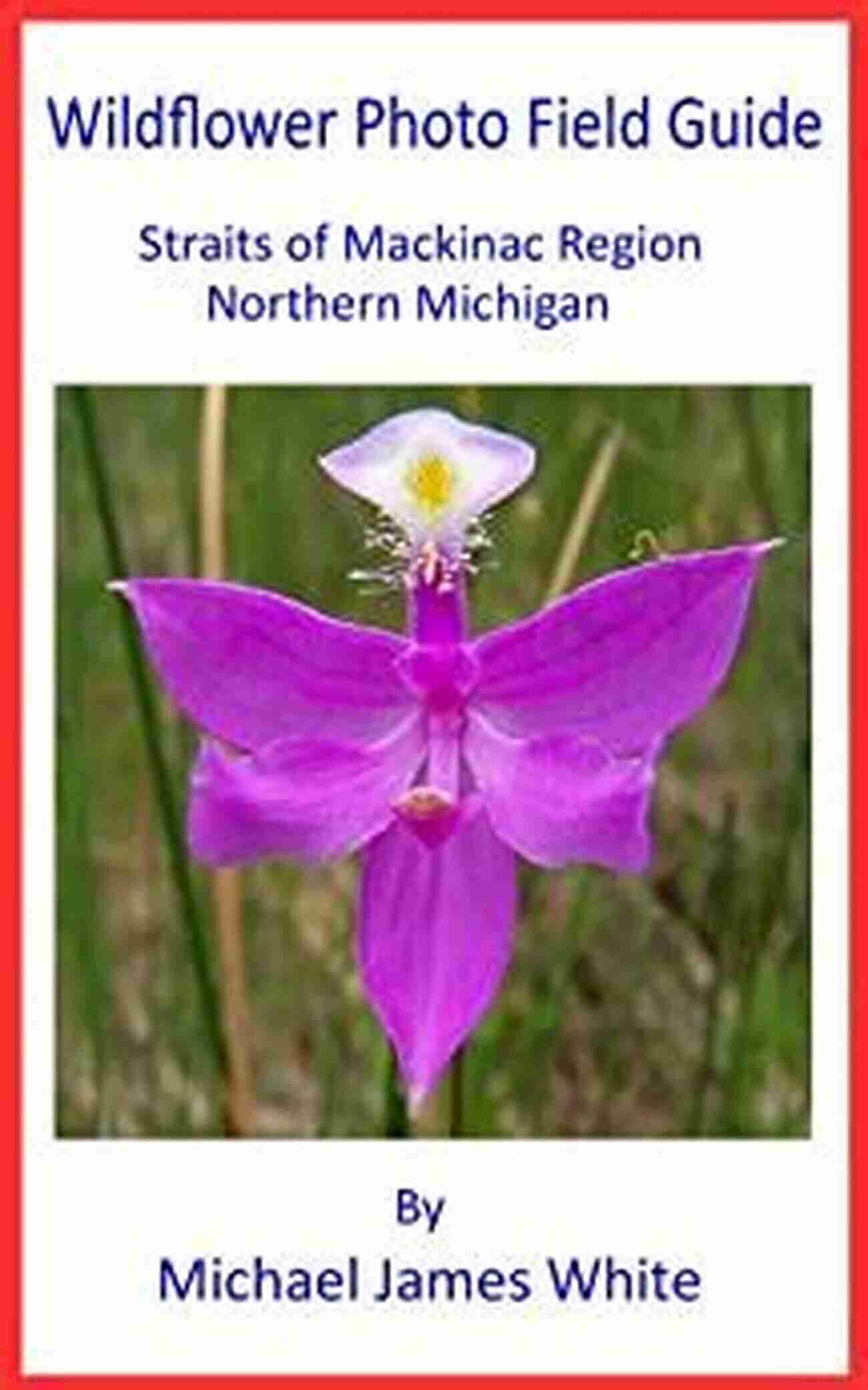 Photography Of Wildflowers In The Straits Of Mackinac Region Wildflower Photo Field Guide Straits Of Mackinac Region Northern Michigan