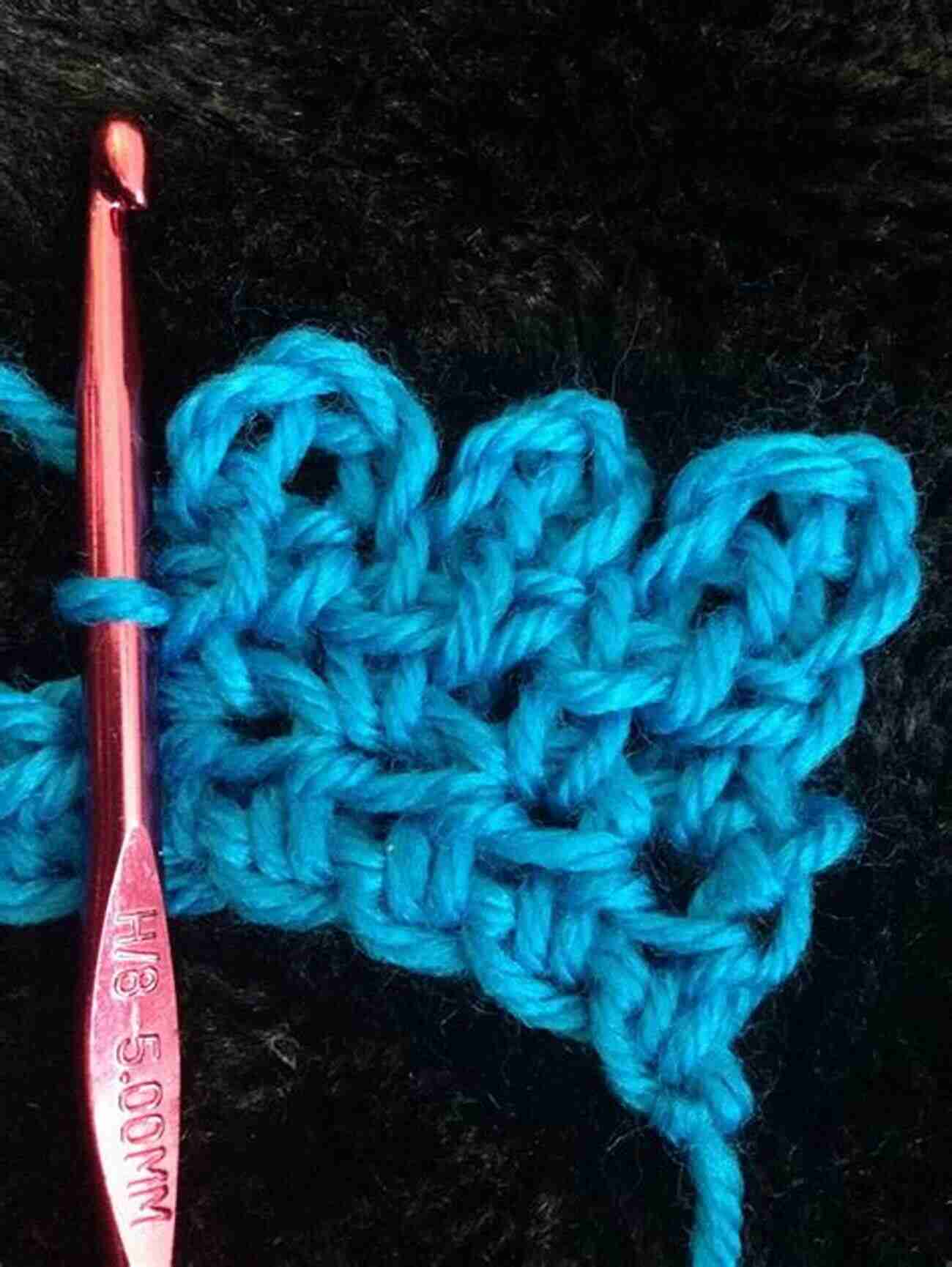 Picot Stitch Professional Crochet Stitch Guide: Chinese Puzzle Stitch Cable Stitch Crocodile Stitch Picot Stitch Waffle Stitch Popcorn Stitch Shell Stitch Seed (Crochet Hook A Crochet Accessories)