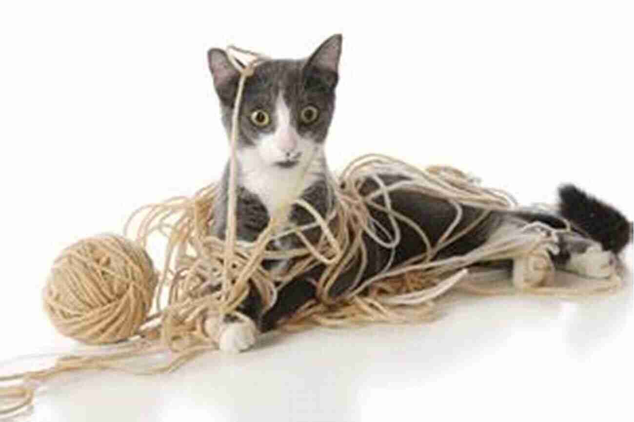 Playful Kitten Unravelling A Ball Of Yellow String Fashion Kitty And The B O Y S : (Ball Of Yellow String)