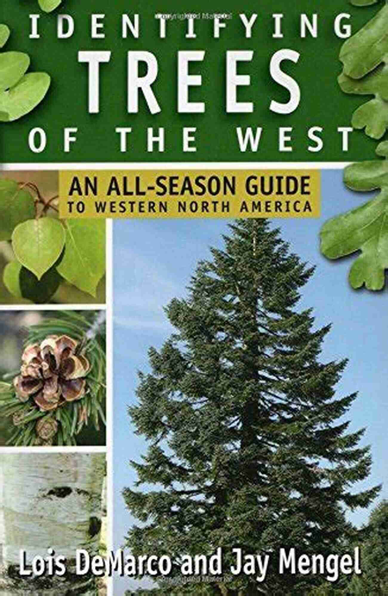 Ponderosa Pine Identifying Trees Of The West: An All Season Guide To Western North America