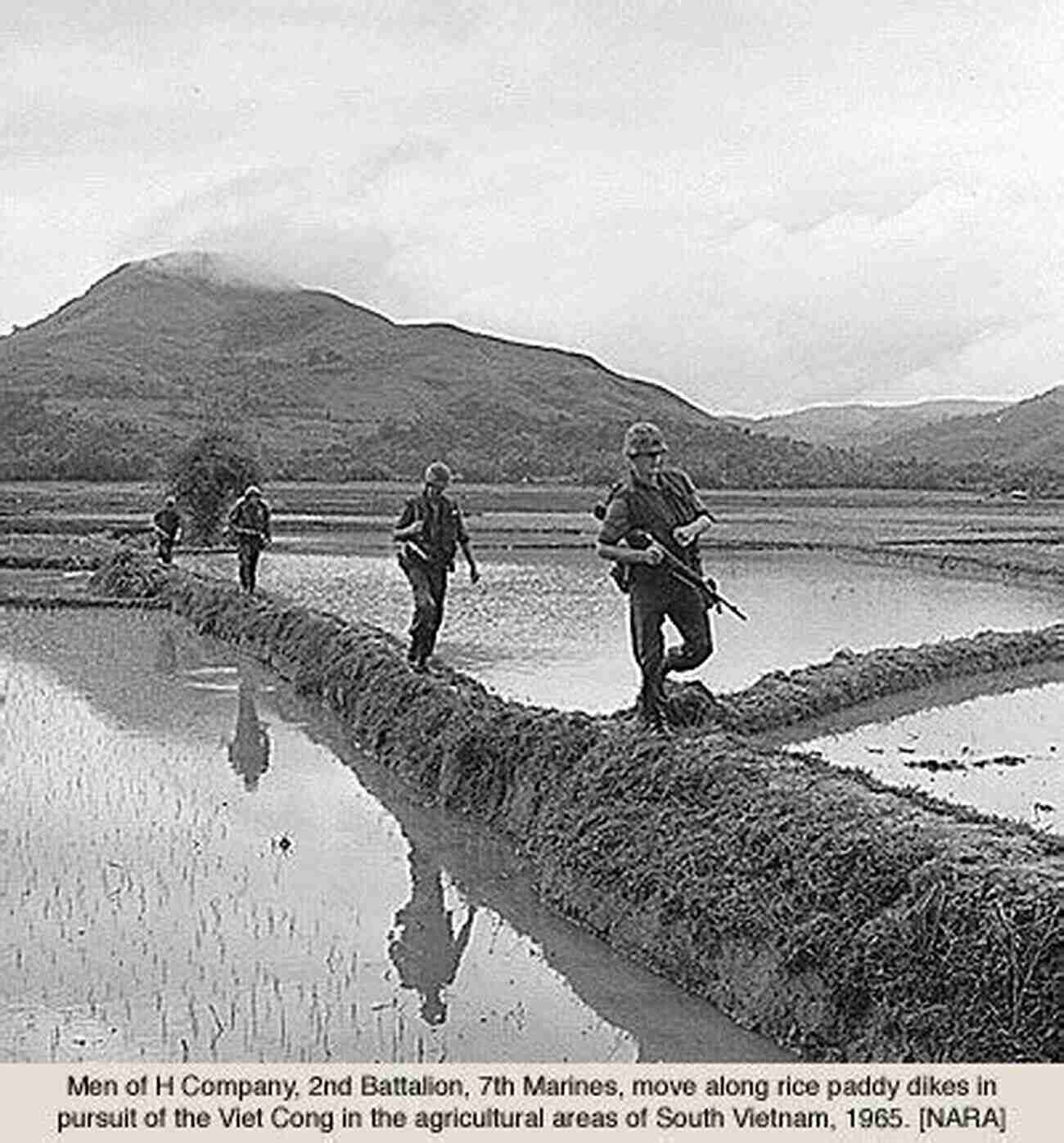 Rice Paddies Writing The War: My Ten Months In The Jungles Streets And Paddies Of South Vietnam 1968