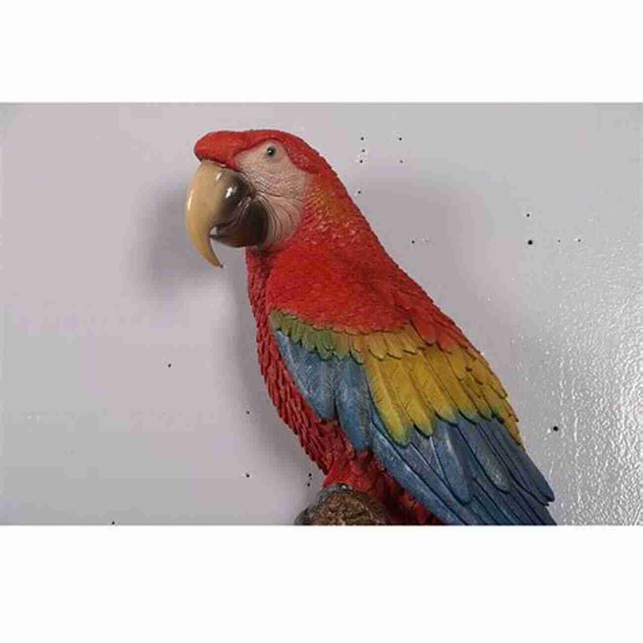 Scarlet Macaw 100 Birds Of Asuncion Carlos Carmagnola