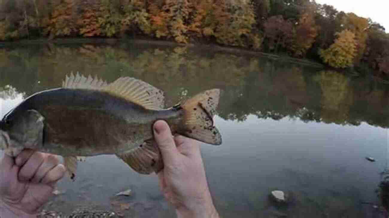 Scioto River A Haven For Smallmouth Bass Fishing Ohio: An Angler S Guide To Over 200 Fishing Spots In The Buckeye State