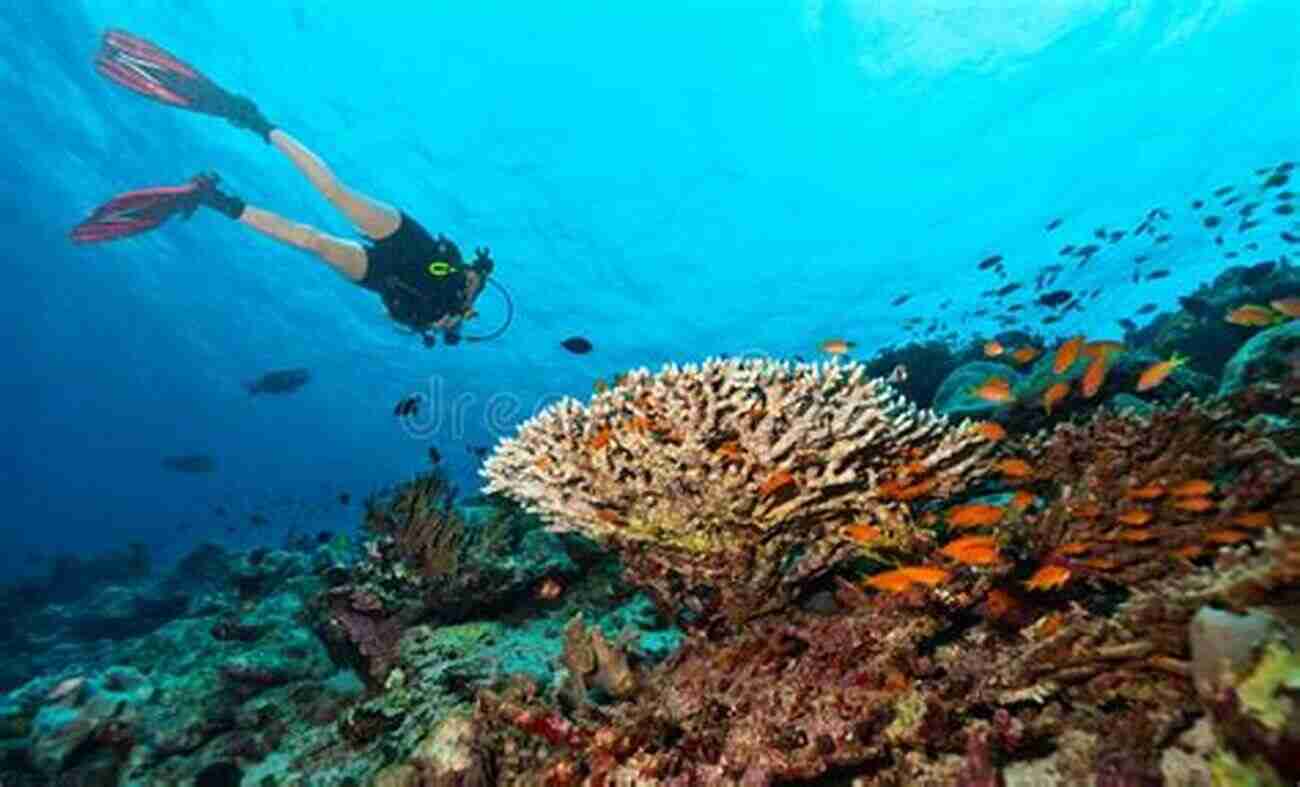 Scuba Diver Exploring The Deep Coral Reefs SCUBA Then And Now Cecil Hampton