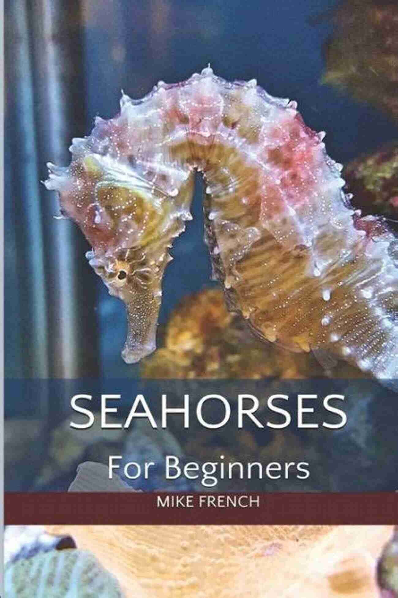 Seahorse For Beginners Seahorses For Beginners: (Abridged) Mike French