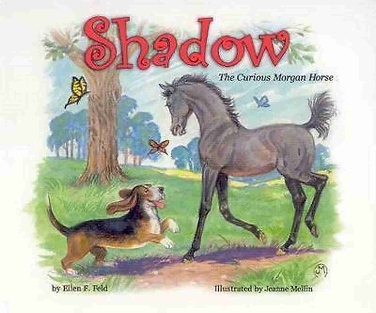 Shadow The Curious Morgan Horse A Majestic Beauty In Motion Shadow: The Curious Morgan Horse