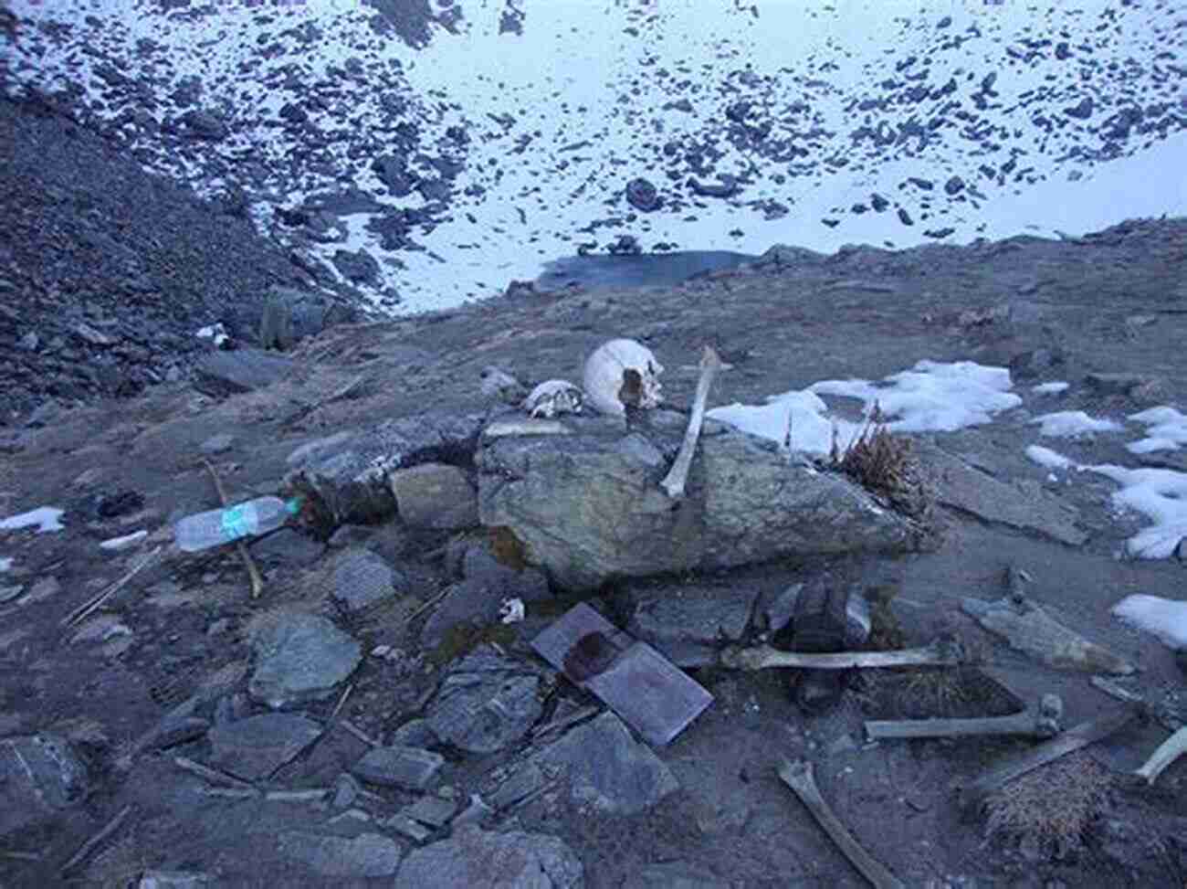 Skeleton Lake The Hollows Himalayan Mountains Skeleton Lake (The Hollows 1)