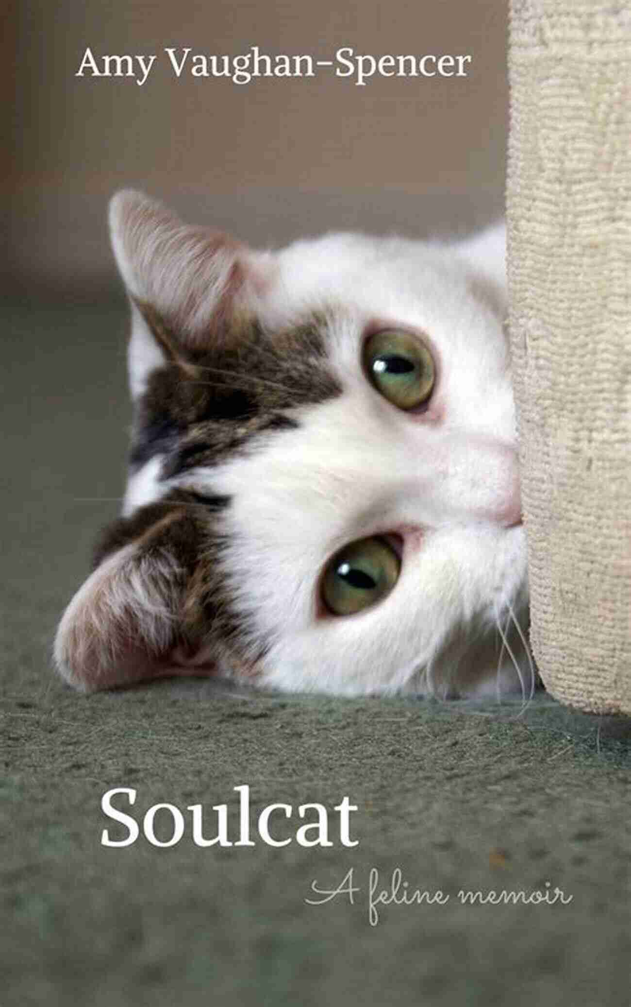 Soulcat Feline Memoir Amy Vaughan Spencer Soulcat: A Feline Memoir Amy Vaughan Spencer