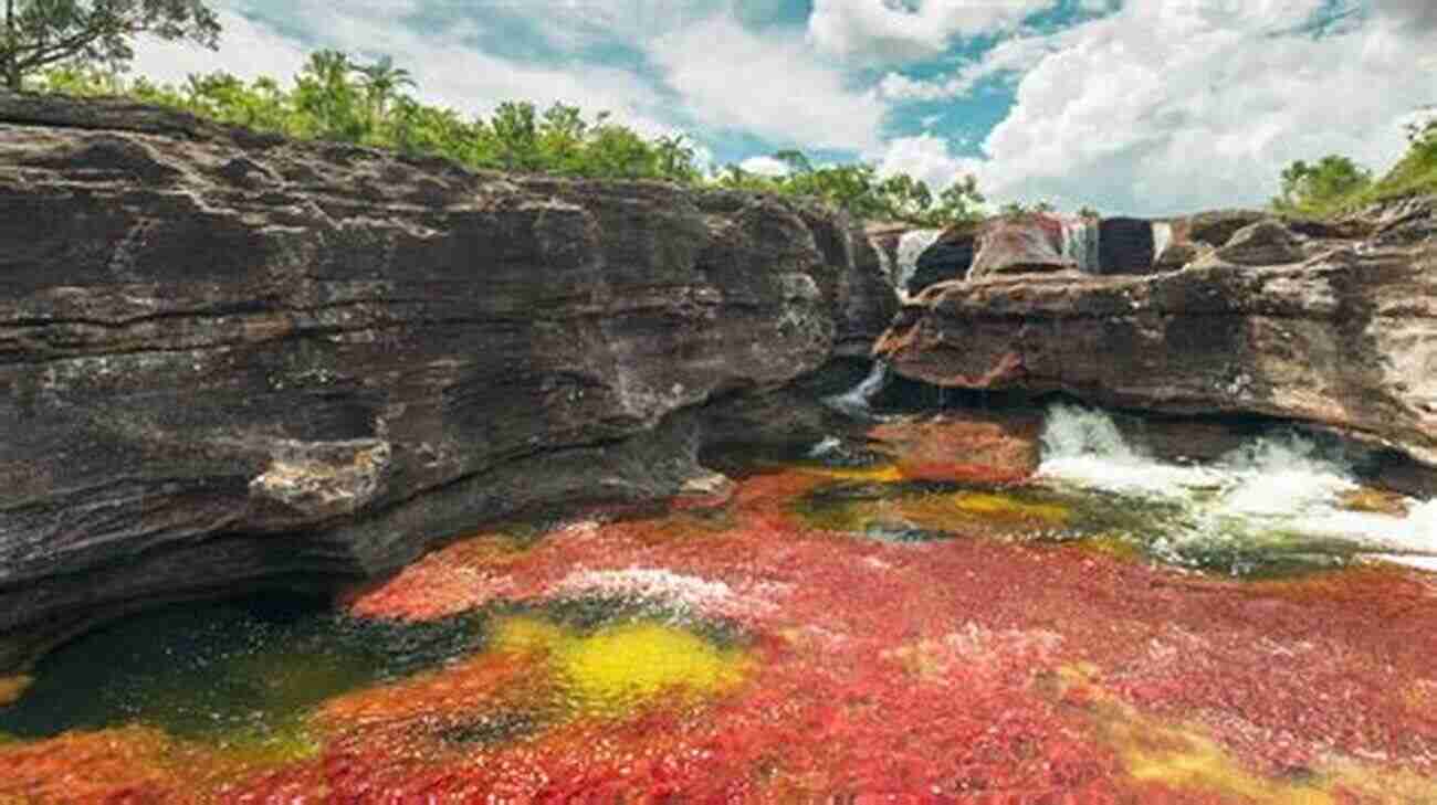 Spectacular Colors Of Cano Cristales Colombia Travel Guide: Top Things To See And Do In Colombia : The Best Colombia Travel Guide For Visiting Colombia