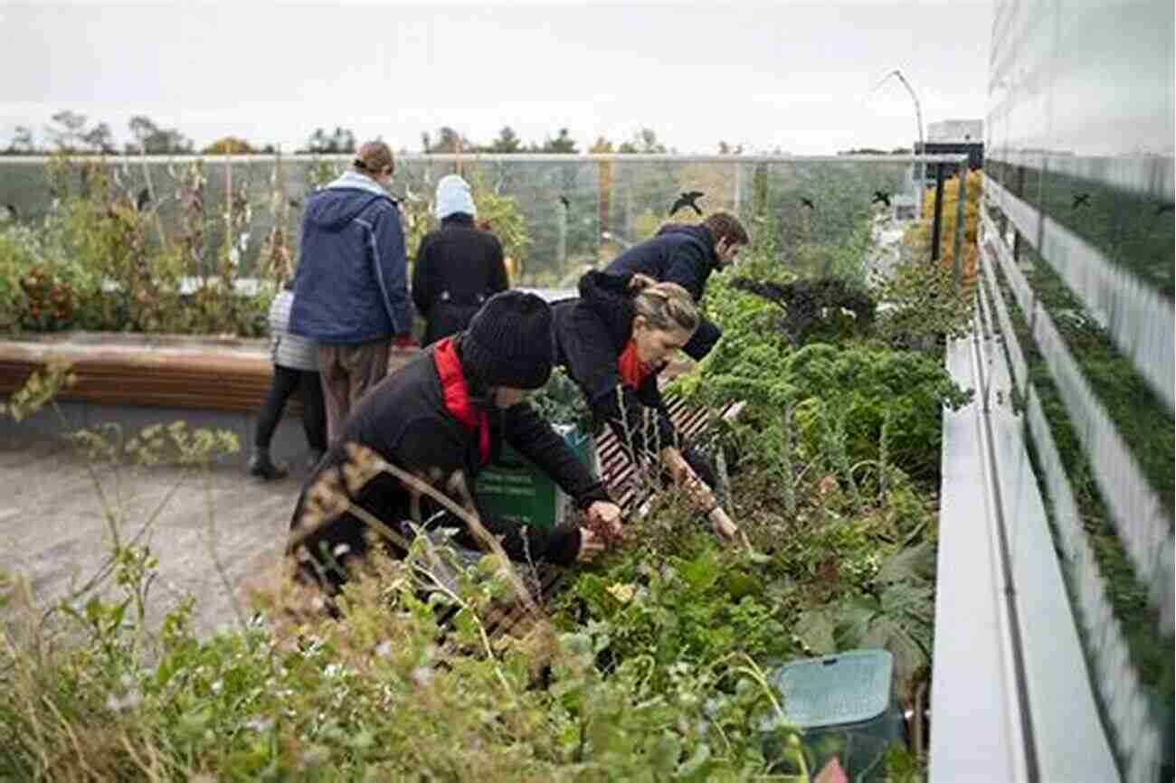 Students Working In The Rooftop Garden Ten Of The Best: School Stories With A Difference