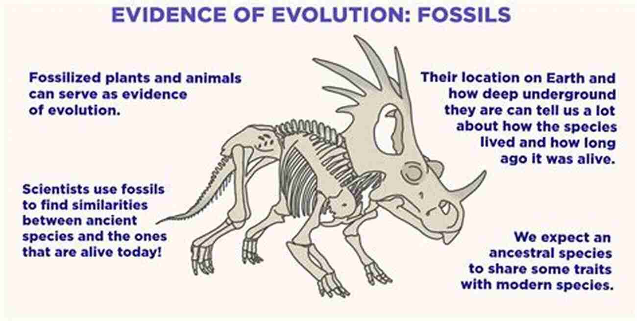 The Evolution Of Early Mammals Fossil Evidence And Discoveries In Pursuit Of Early Mammals (Life Of The Past)