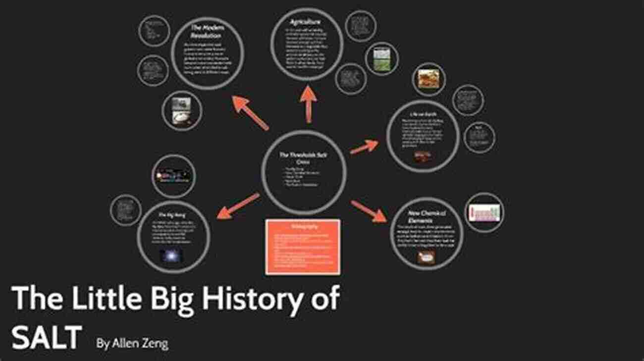 The Little Of Big History Universe The Little Of Big History: The Story Of Life The Universe And Everything