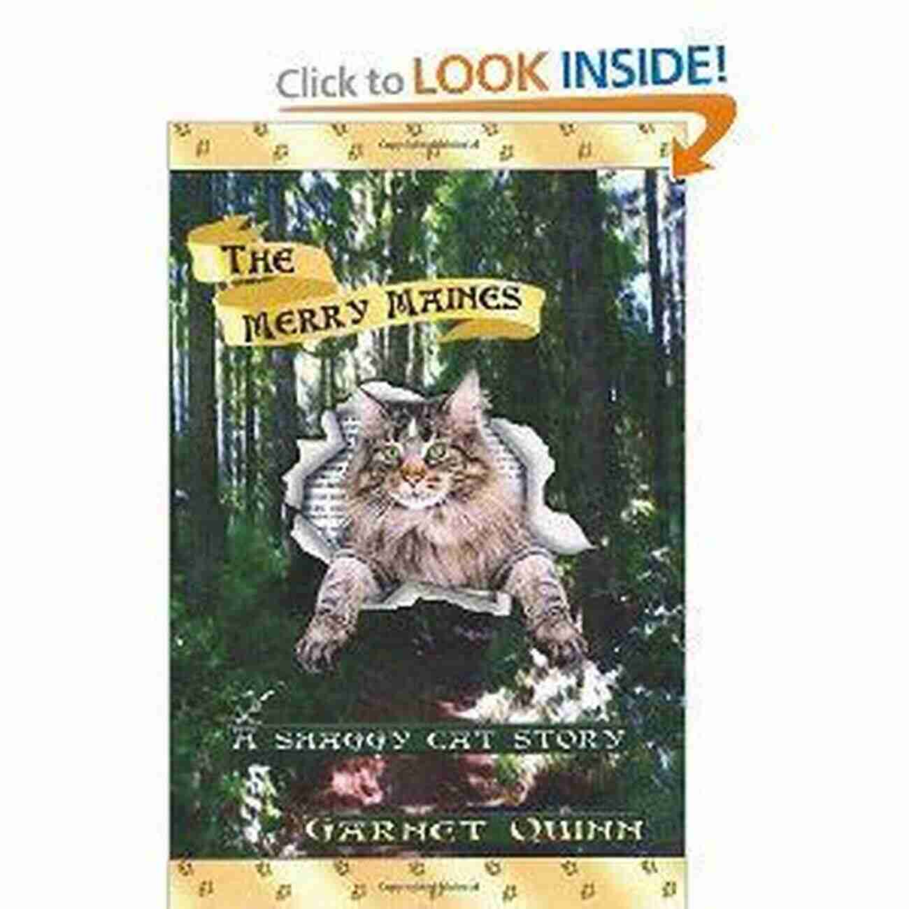 The Merry Maines Shaggy Cat Family Playing In A Garden The Merry Maines A Shaggy Cat Story