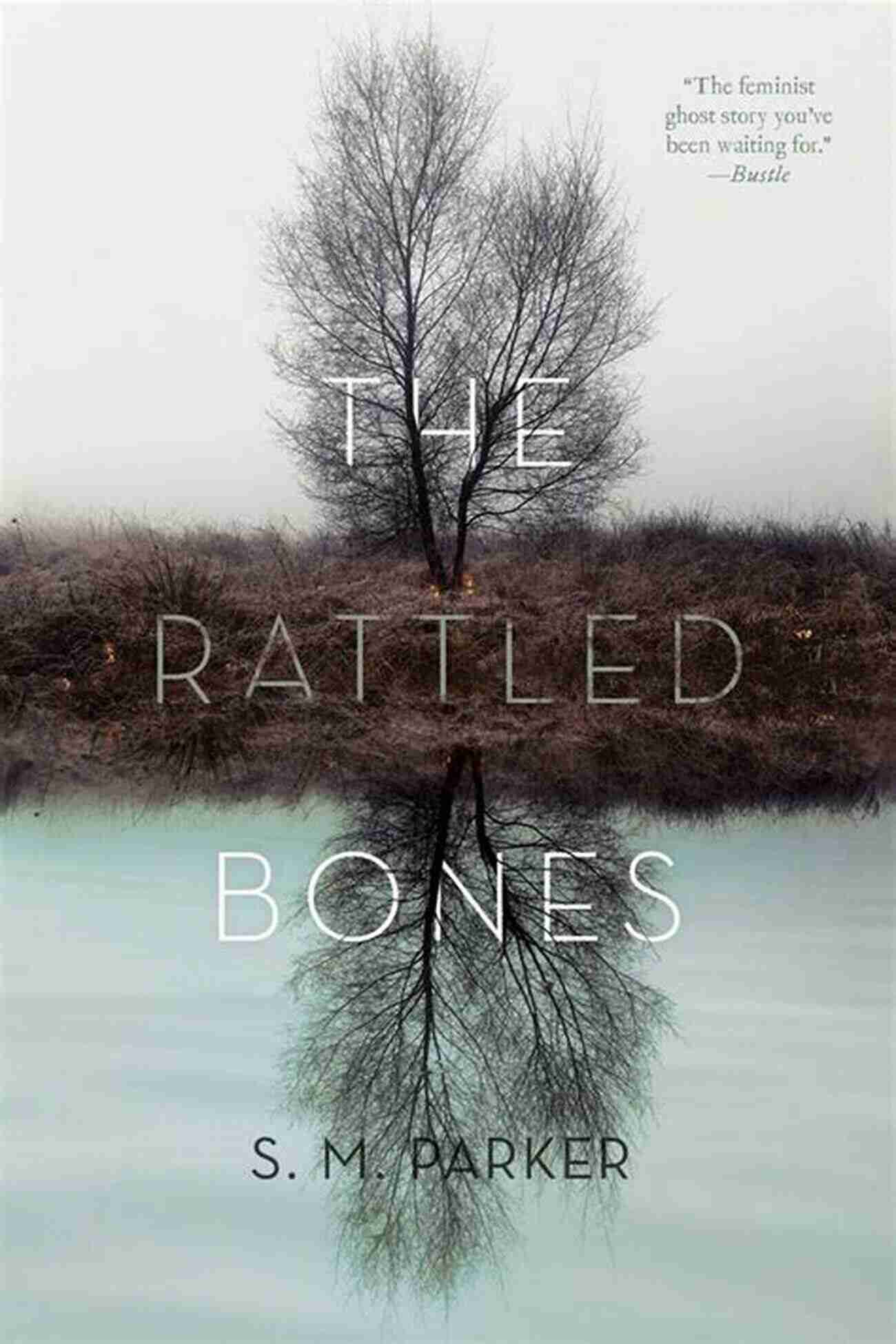 The Rattled Bones Parker A Haunting Ghost Town The Rattled Bones S M Parker