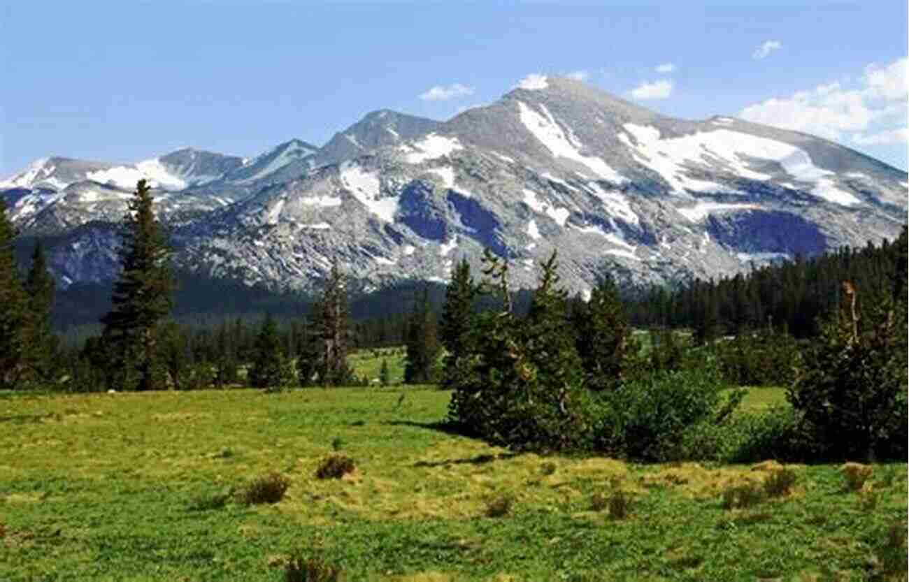 Tuolumne Meadows Yosemite National Park And Vicinity