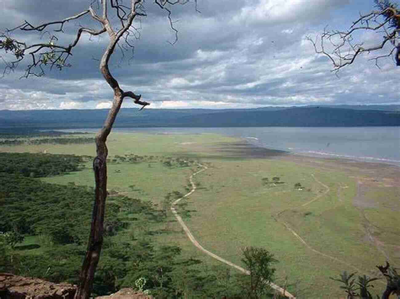 Walking Through The Forest Trails And Observing Wildlife In Lake Nakuru National Park MEMOIRS OF A TOUR GUIDE KENYA