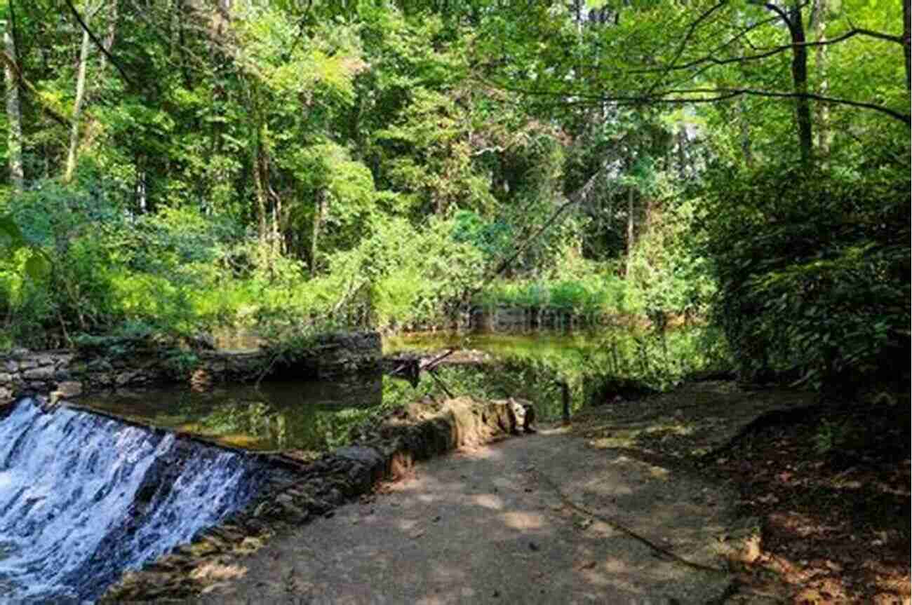 Country In Words And Pictures Majestic Waterfall Surrounded By Lush Green Landscape This Is Scotland: A Country In Words And Pictures