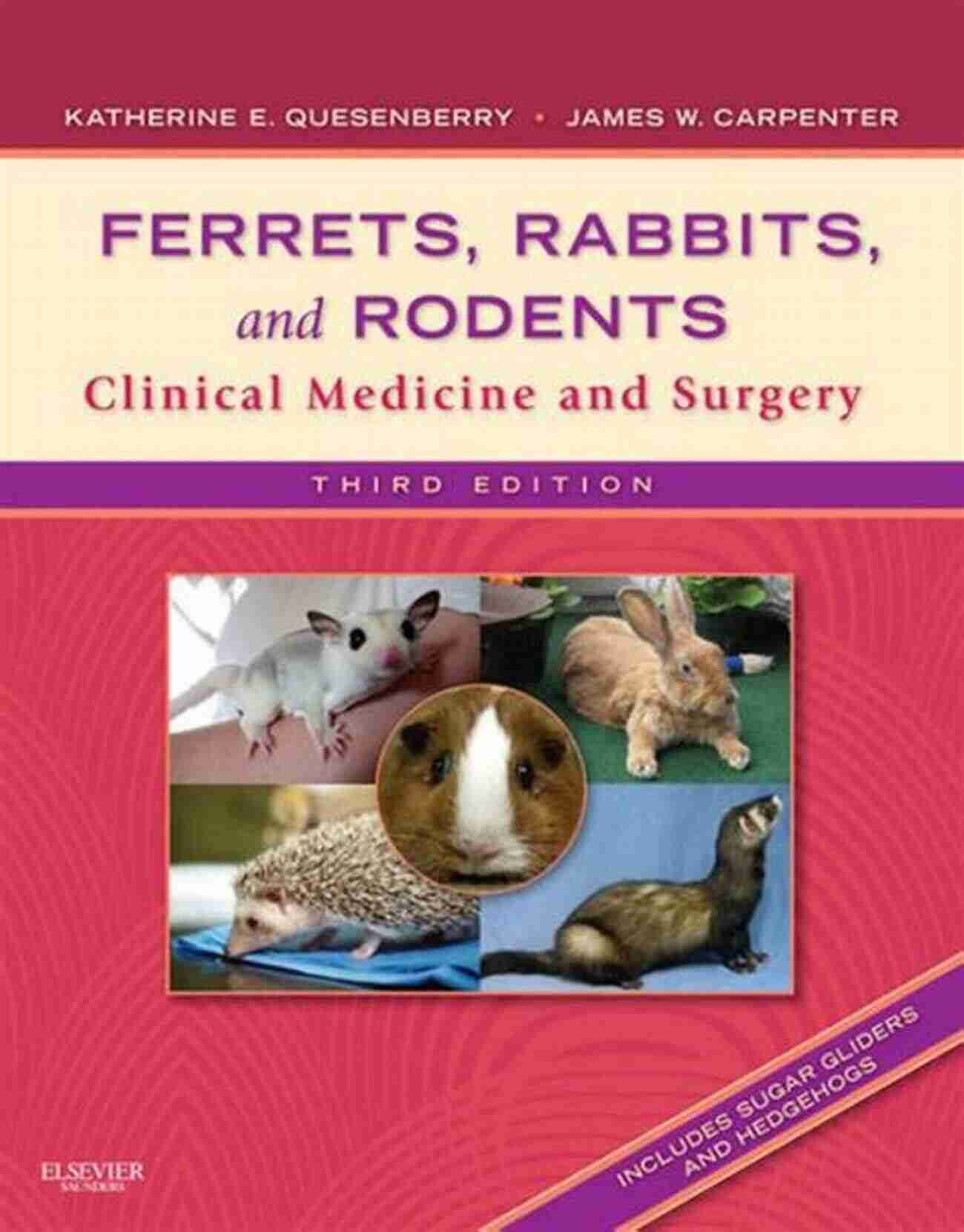 Ferrets Rabbits And Rodents Clinical Medicine And Surgery Ferrets Rabbits And Rodents: Clinical Medicine And Surgery