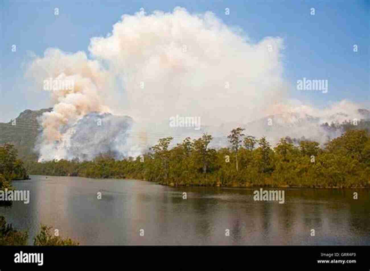 Fire In The Wilderness A Fire In The Wilderness: The First Battle Between Ulysses S Grant And Robert E Lee