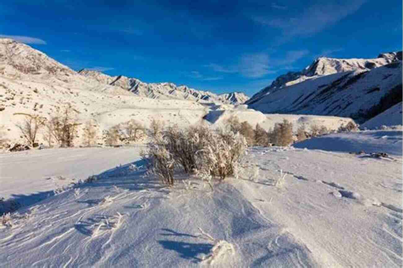 Mysterious Winter Landscape With Snow Covered Trees And A Hazy Figure In The Distance The Whispers Of Nemesis: A Winter Mystery For The Greek Hercule Poirot (Mysteries Of The Greek Detective)