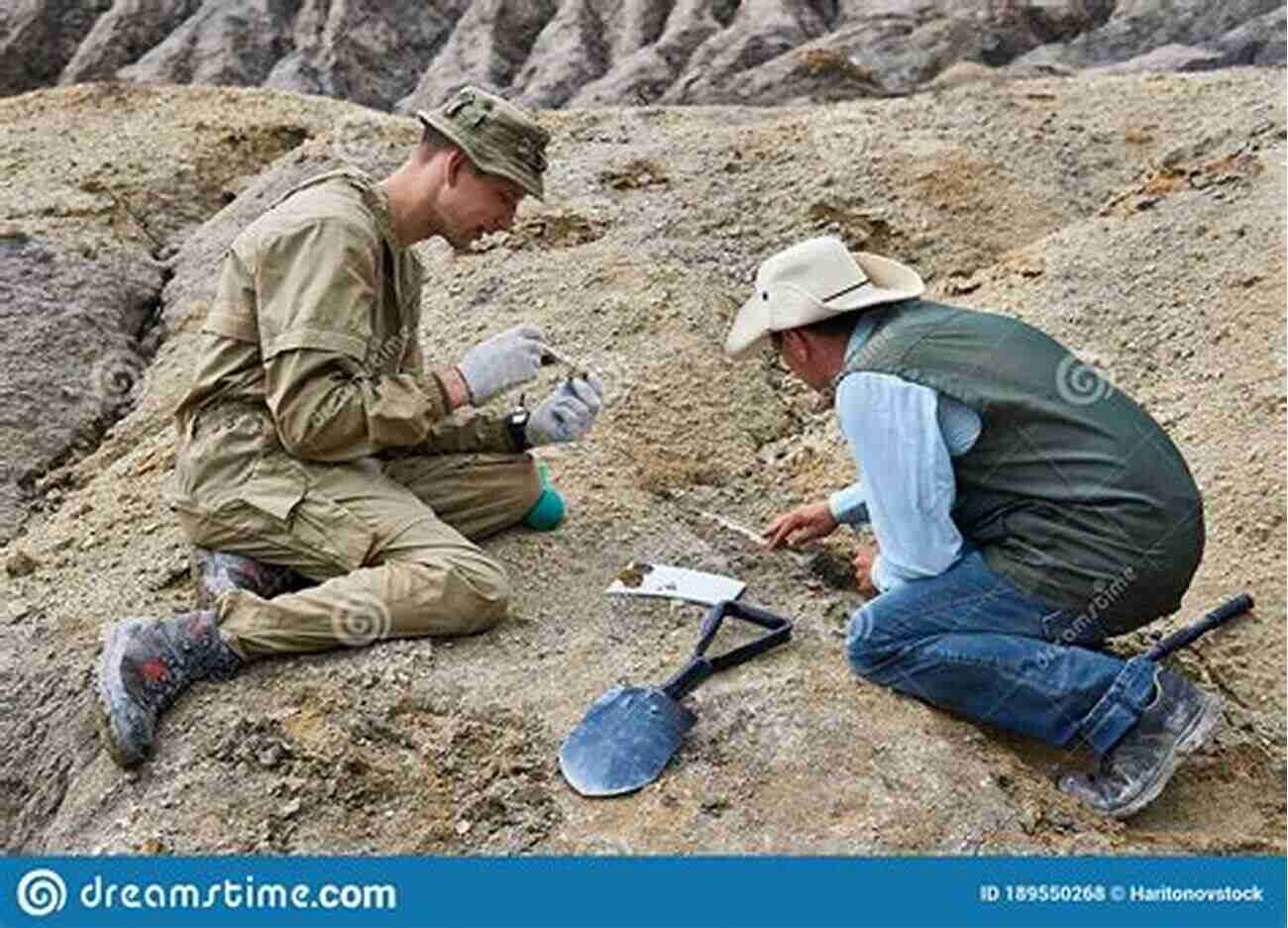 Paleontologists Extracting Dinosaur Fossils From Egyptian Soil The Lost Dinosaurs Of Egypt