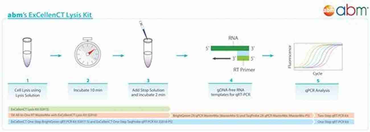 QPCR Process In A Laboratory QPCR The Basics (Definitive QPCR 2)