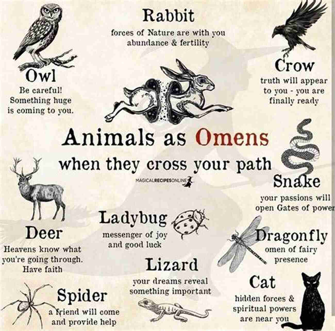 Terrifying Animals Of Animal Omen Series Animal 2: The Omen (Animal Series)