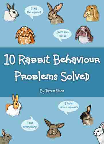 10 Rabbit Behaviour Problems Solved Tamsin Stone