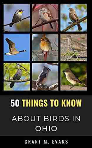 50 Things to Know About Birds in Ohio: Birdwatching in the Buckeye State (50 Things to Know About Birds United States)