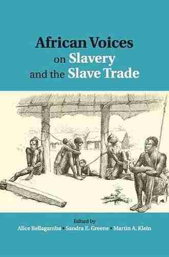 African Voices on Slavery and the Slave Trade: Volume 2 Essays on Sources and Methods