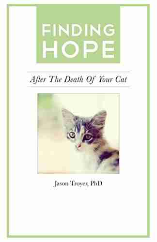 Finding Hope: After The Death Of Your Cat (Finding Hope After The Death Of A Loved One)