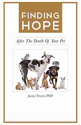 Finding Hope: After the Death of Your Pet (Finding Hope After the Death of a Loved One)