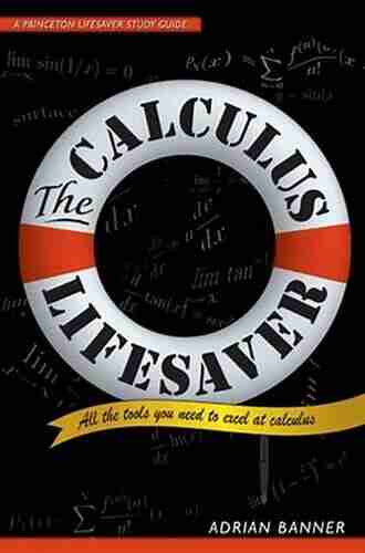 The Calculus Lifesaver: All the Tools You Need to Excel at Calculus (Princeton Lifesaver Study Guides)