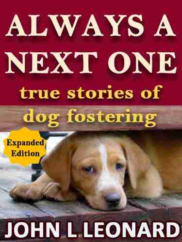 Always A Next One (true Stories Of Dog Fostering)