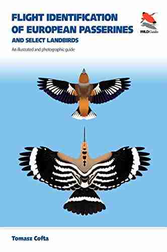 Flight Identification Of European Passerines And Select Landbirds: An Illustrated And Photographic Guide (WILDGuides)