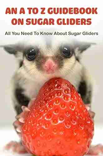 An A To Z Guidebook On Sugar Gliders: All You Need To Know About Sugar Gliders