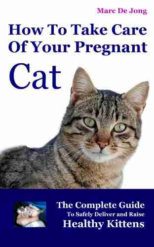 How To Take Care Of Your Pregnant Cat: The Complete Guide To Safely Deliver And Raise Healthy Kittens