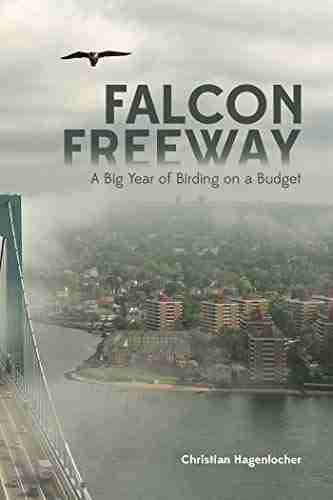 Falcon Freeway: A Big Year Of Birding On A Budget