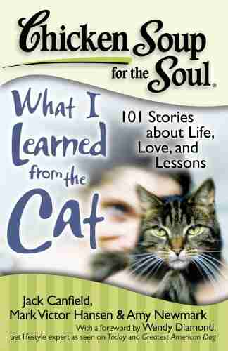 Chicken Soup for the Soul: What I Learned from the Cat: 101 Stories about Life Love and Lessons