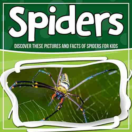 Spiders: Discover These Pictures And Facts Of Spiders For Kids