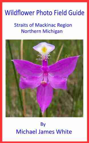 Wildflower Photo Field Guide Straits Of Mackinac Region Northern Michigan