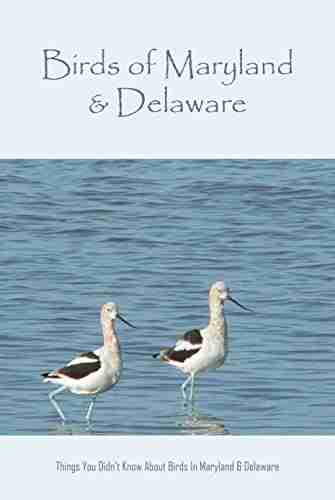 Birds Of Maryland Delaware: Things You Didn T Know About Birds In Maryland Delaware: Learn About Birds In Maryland Delaware